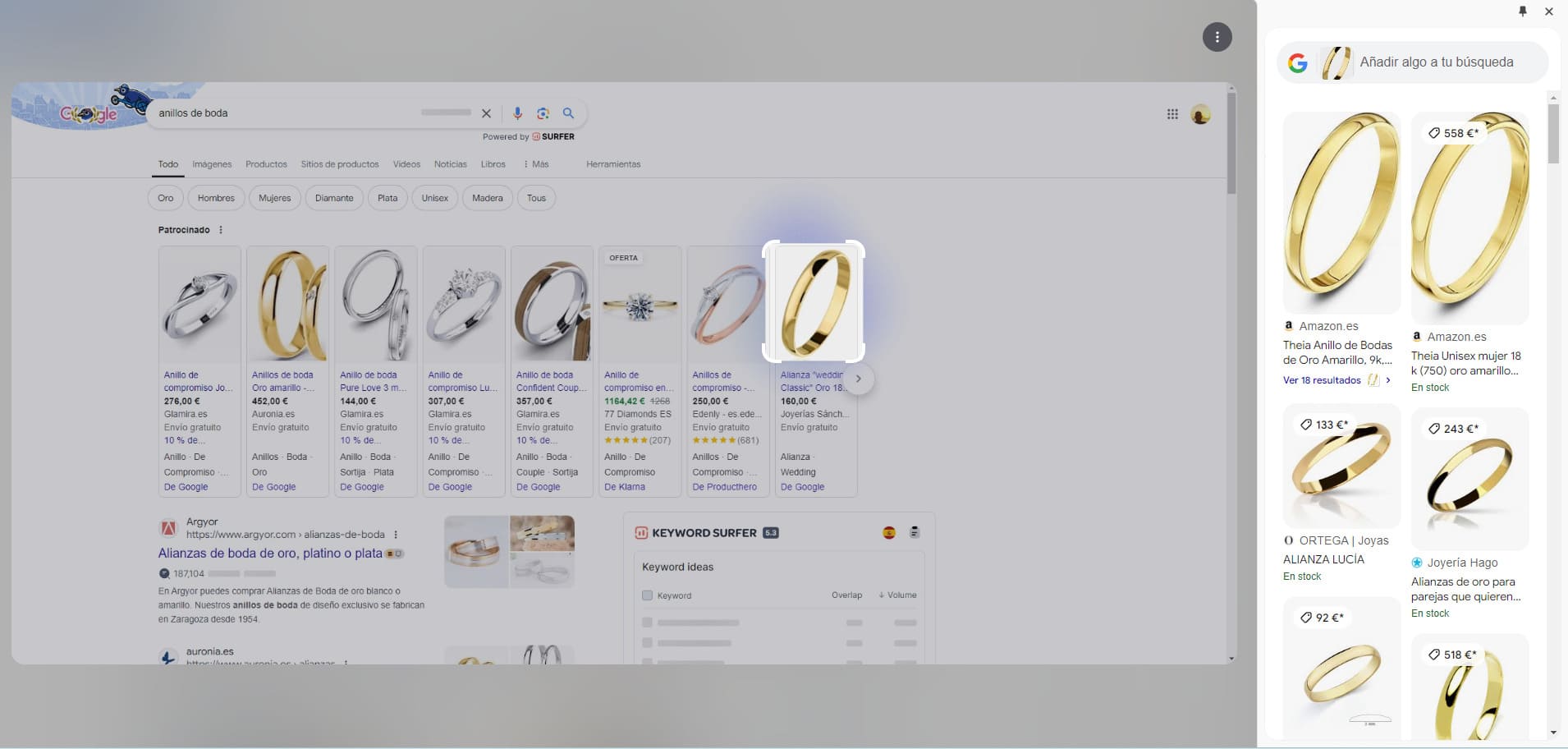 Ejemplo de una búsqueda con Google Lens. se muestra la imagen destacada y el bloque de resultados que se genera a la derecha de la pantalla